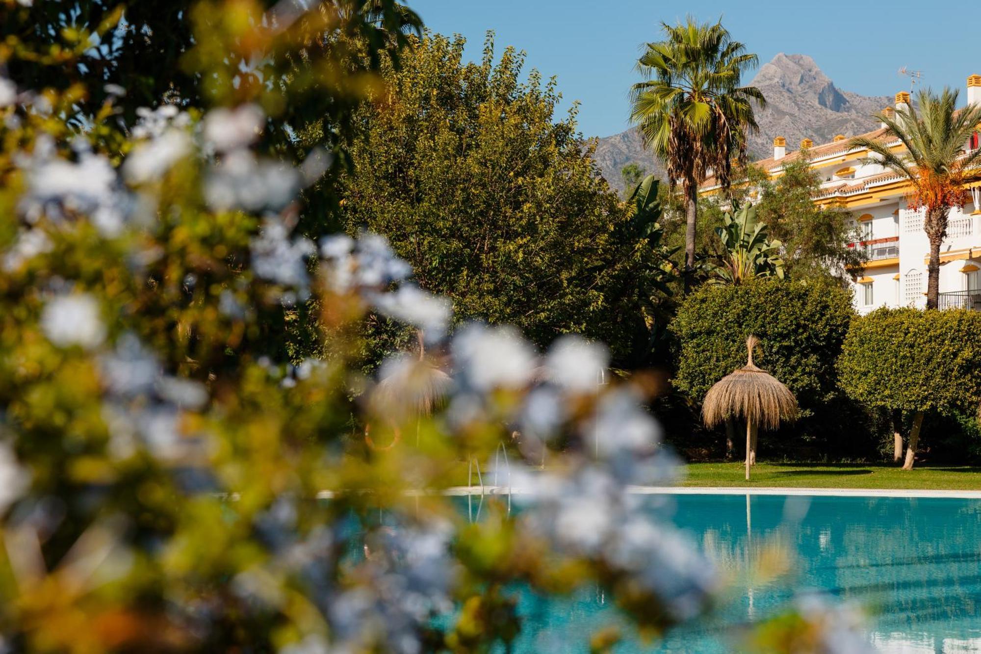 Ground Floor Holiday Apartment With Terrace And Pool In Puerto Banus, 마르베야 외부 사진